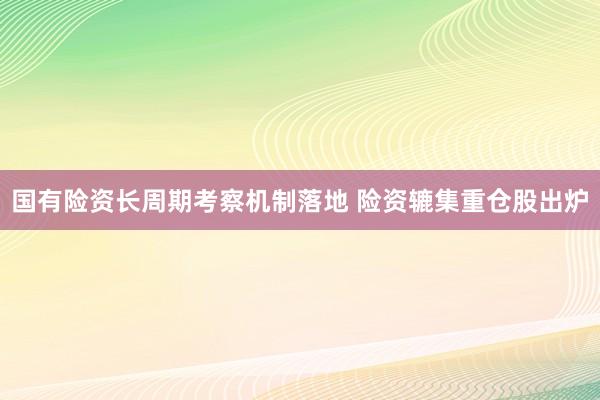 国有险资长周期考察机制落地 险资辘集重仓股出炉