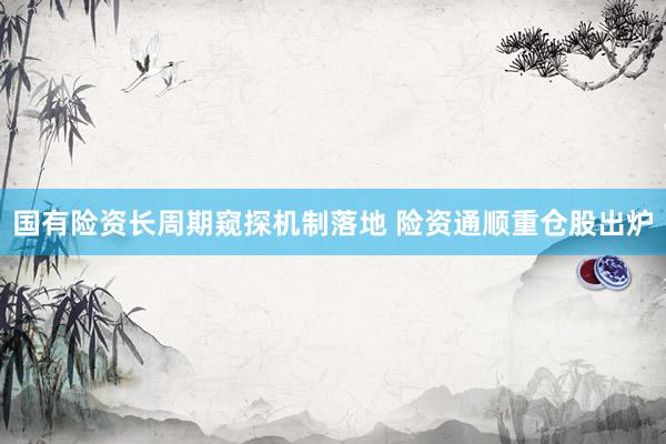 国有险资长周期窥探机制落地 险资通顺重仓股出炉