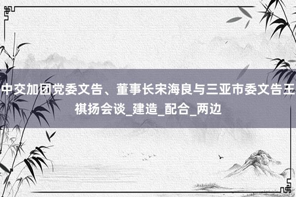 中交加团党委文告、董事长宋海良与三亚市委文告王祺扬会谈_建造_配合_两边