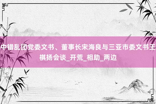 中错乱团党委文书、董事长宋海良与三亚市委文书王祺扬会谈_开荒_相助_两边