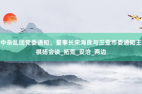 中杂乱团党委通知、董事长宋海良与三亚市委通知王祺扬会谈_拓荒_妥洽_两边