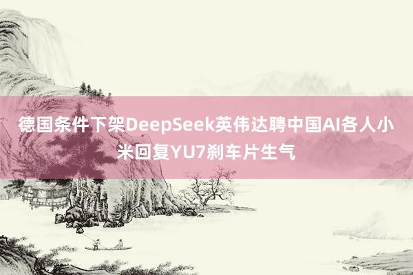 德国条件下架DeepSeek英伟达聘中国AI各人小米回复YU7刹车片生气
