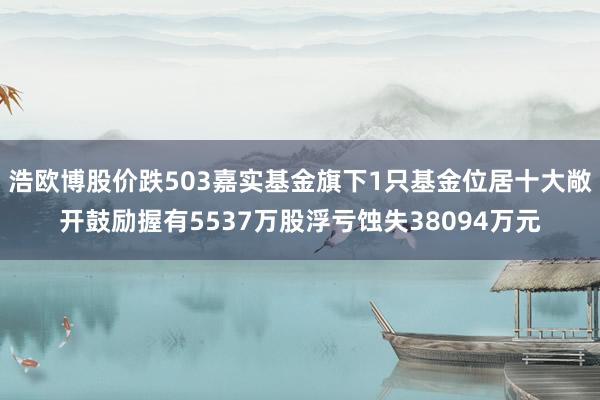 浩欧博股价跌503嘉实基金旗下1只基金位居十大敞开鼓励握有5537万股浮亏蚀失38094万元