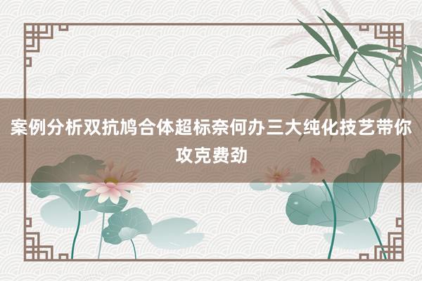 案例分析双抗鸠合体超标奈何办三大纯化技艺带你攻克费劲