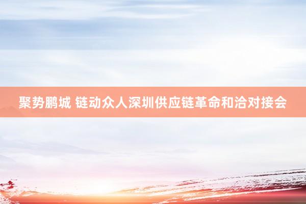 聚势鹏城 链动众人深圳供应链革命和洽对接会