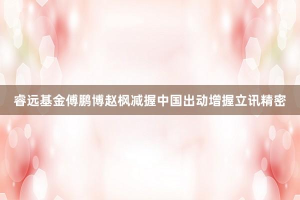睿远基金傅鹏博赵枫减握中国出动增握立讯精密