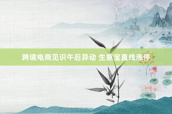 跨境电商见识午后异动 生意宝直线涨停