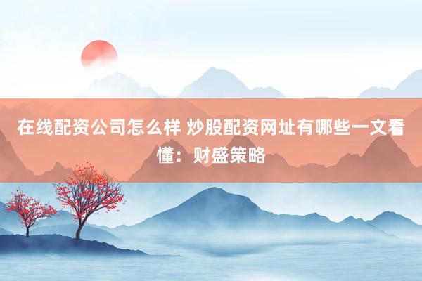 在线配资公司怎么样 炒股配资网址有哪些一文看懂：财盛策略