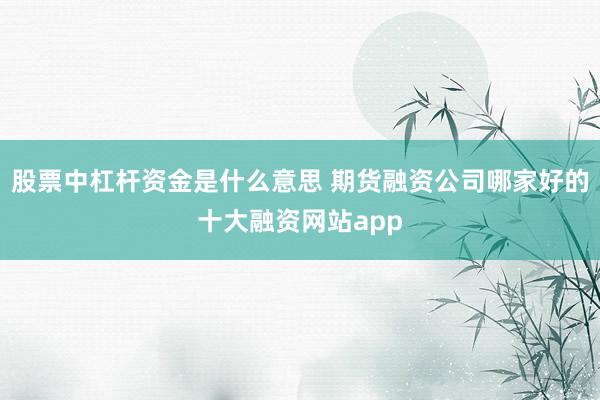 股票中杠杆资金是什么意思 期货融资公司哪家好的十大融资网站app