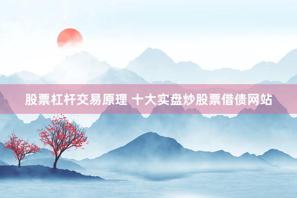 股票杠杆交易原理 十大实盘炒股票借债网站