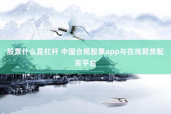 股票什么是杠杆 中国合规股票app与在线期货配资平台