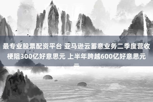 最专业股票配资平台 亚马逊云蓄意业务二季度营收梗阻300亿好意思元 上半年跨越600亿好意思元