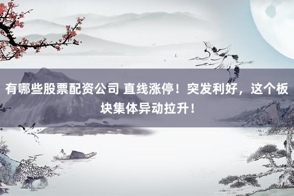 有哪些股票配资公司 直线涨停！突发利好，这个板块集体异动拉升！