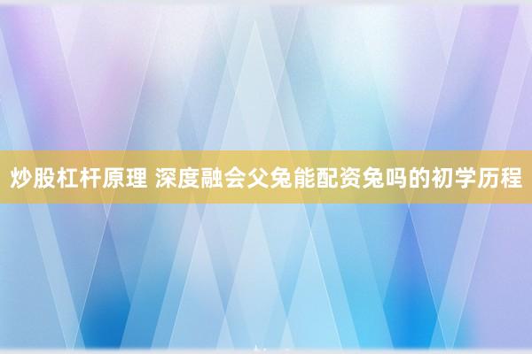 炒股杠杆原理 深度融会父兔能配资兔吗的初学历程