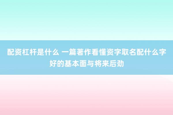 配资杠杆是什么 一篇著作看懂资字取名配什么字好的基本面与将来后劲
