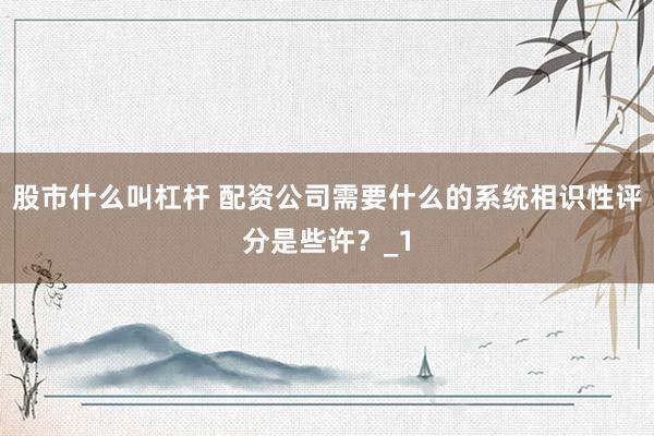 股市什么叫杠杆 配资公司需要什么的系统相识性评分是些许？_1